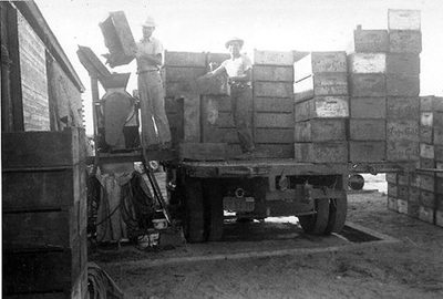 In the early days, grapes came to the winery in lug boxes.  Here they are being dumped into the old crusher.