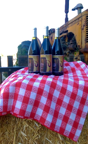 Three bottles of harvest Port resting on a picnic tablecloth tossed over bales of straw.